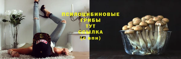 мет Бронницы