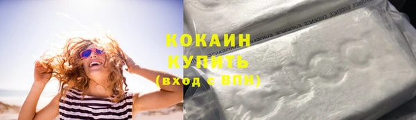 трава Бородино