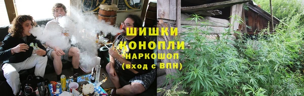 трава Бородино