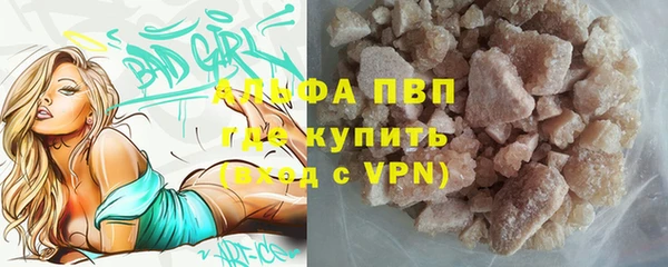 трава Бородино