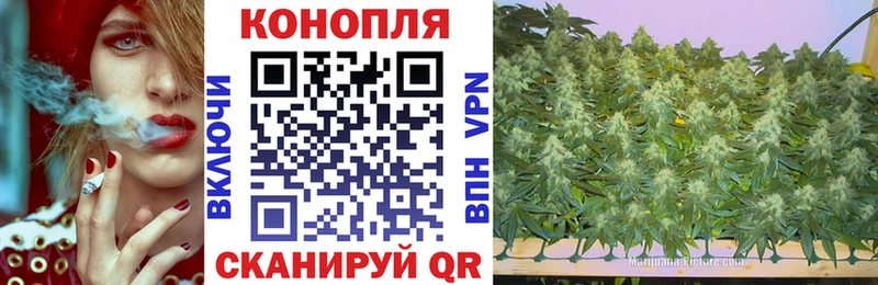 Купить где  Беломорск  Шишки марихуана марихуана 